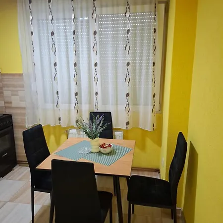 Dmb Apartmens 公寓 克拉古耶瓦茨